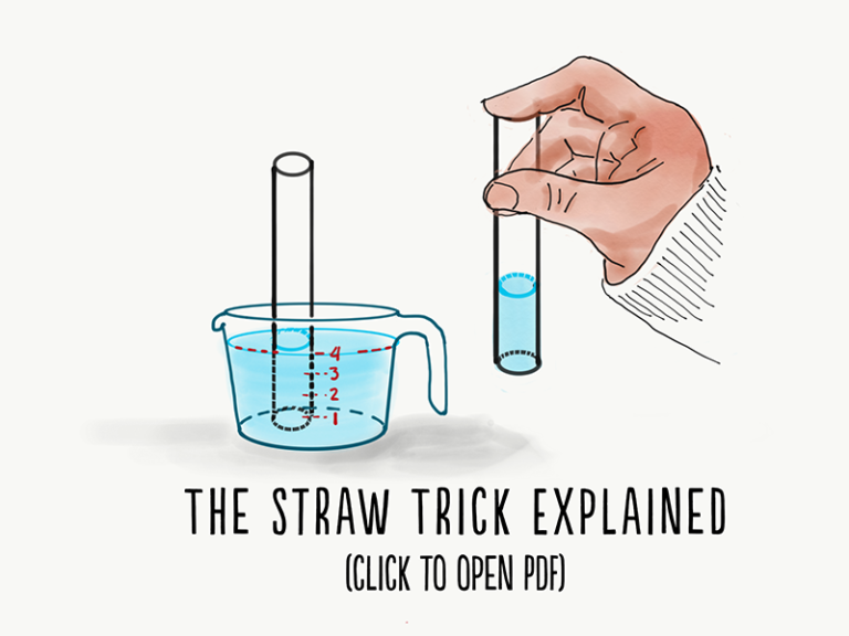 STEM Putney Designs, LLC